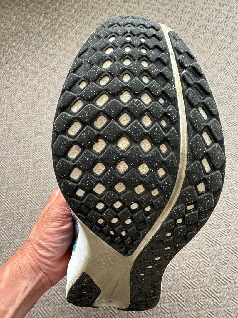 Nike ペガサス41 (26.5)最終値下げ