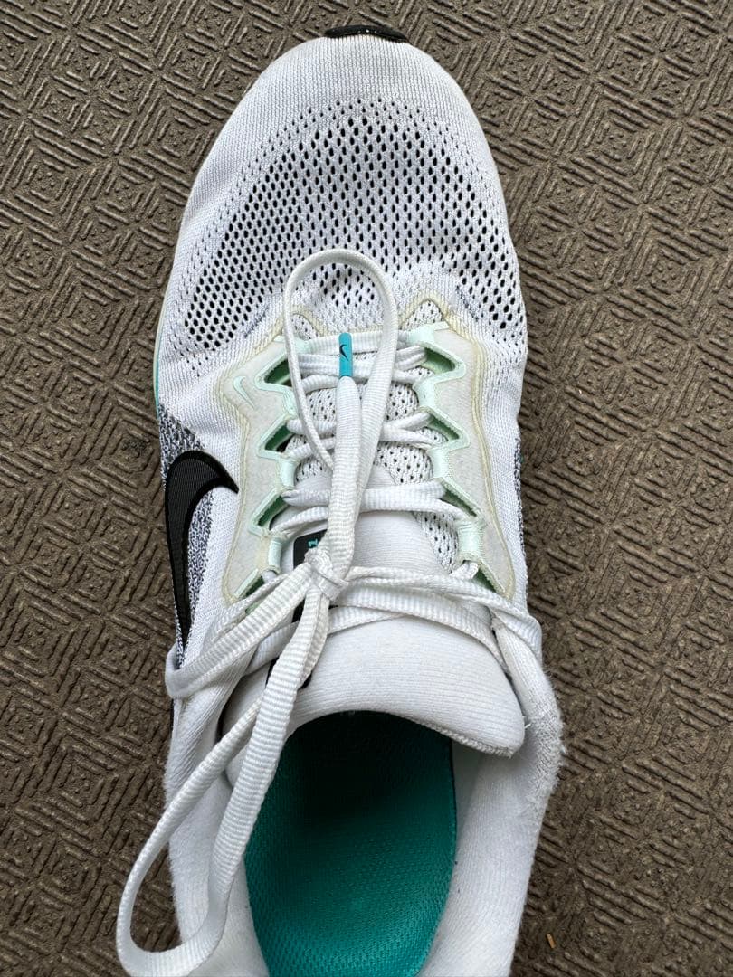 Nike ペガサス41 (26.5)最終値下げ