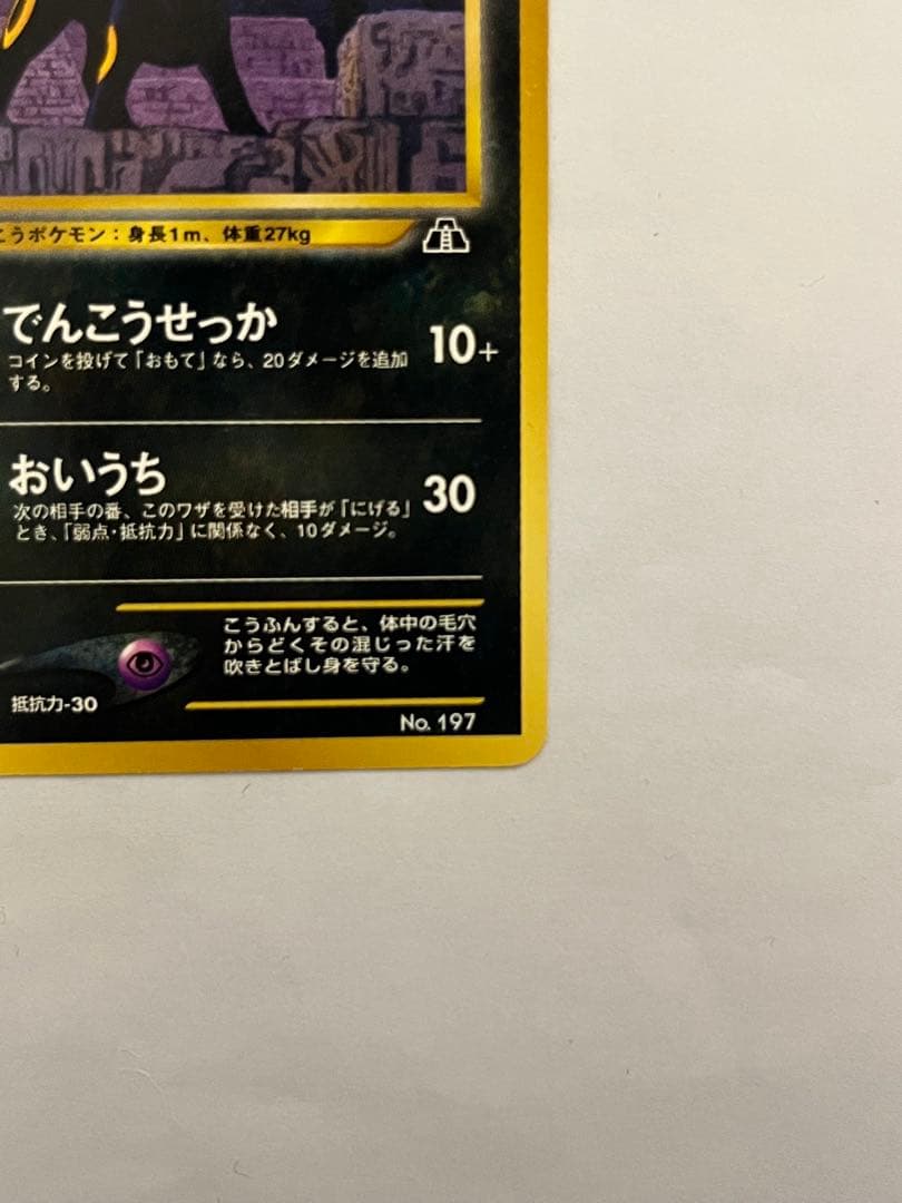 ブラッキー_プレミアムファイル2 PROMO 第2世代ポケモンカード　旧裏
