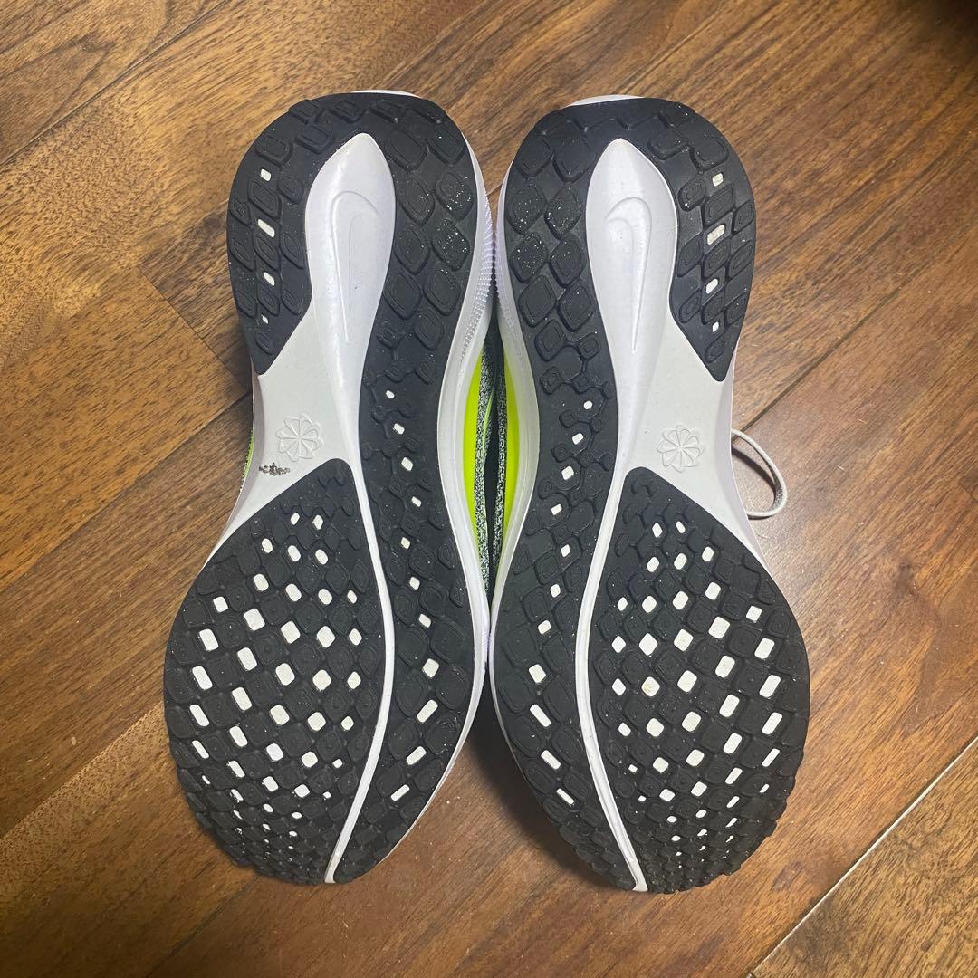 NIKE ペガサス41 25.5cm