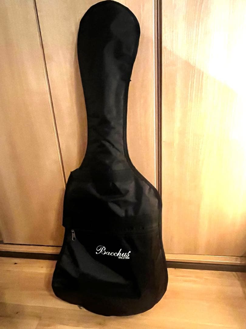 Laid Back ストラトタイプ エレキギター ブルー SSHソフトケース付