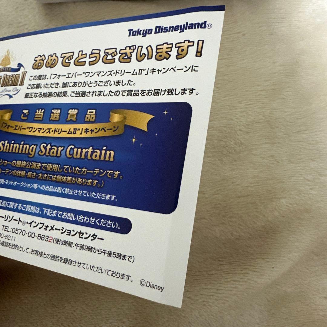 ディズニー ワンマンズドリーム カーテン