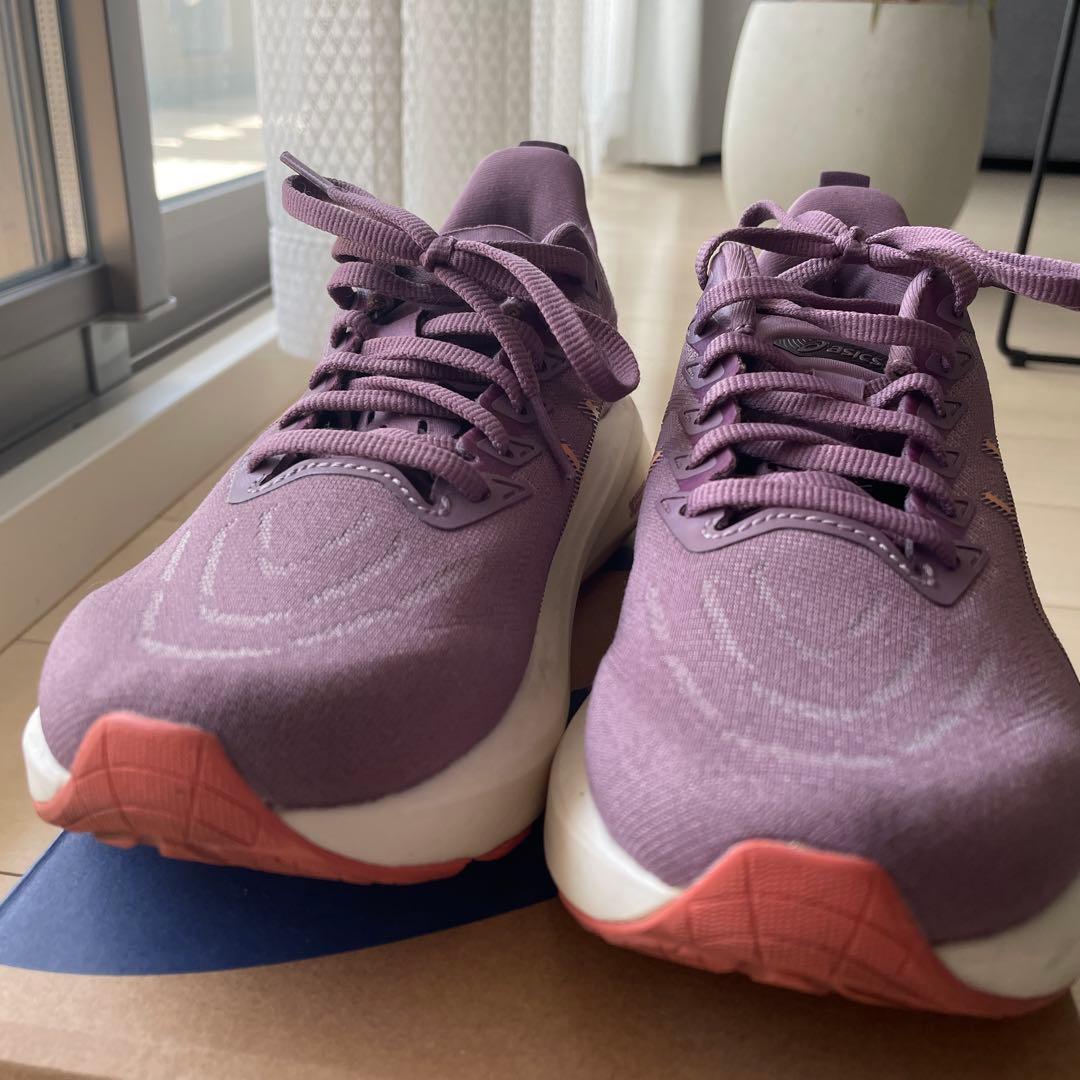 ASICS GT-2000 13 WIDE 24.5cm ランニングシューズ