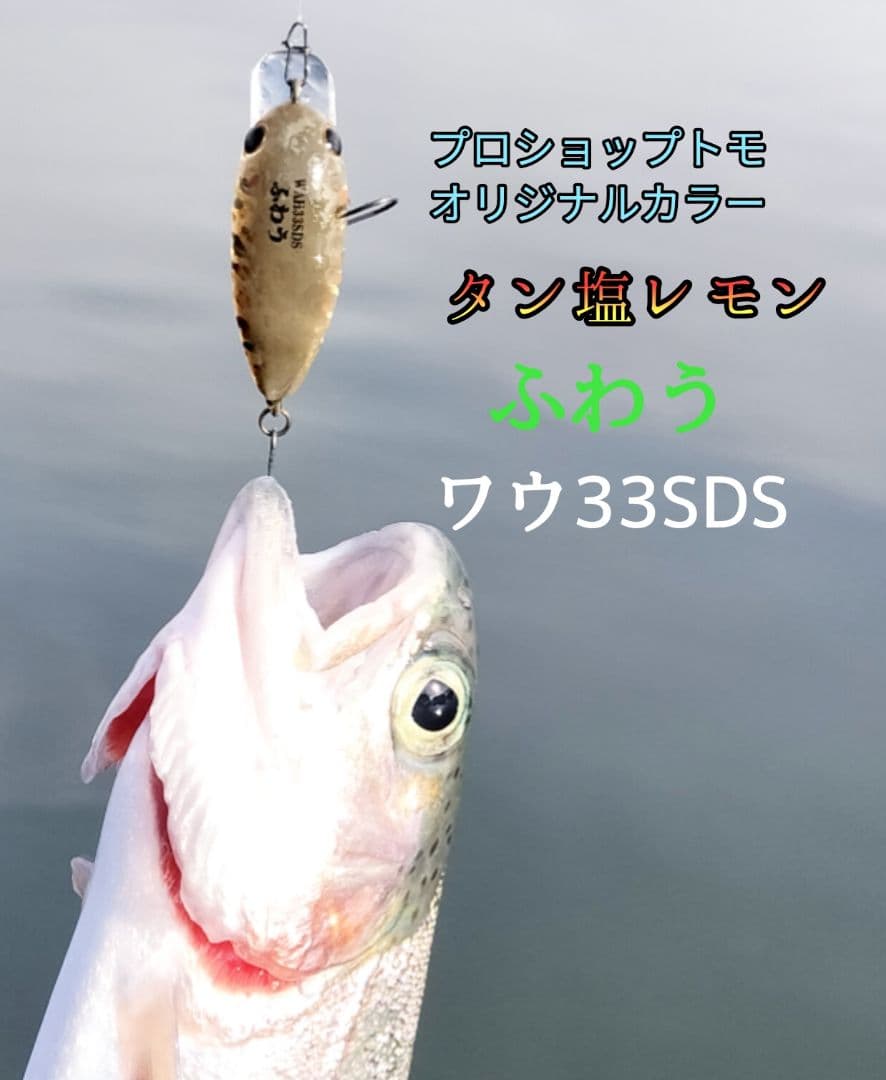 ワウ33SDS　オリカラ　 WAH33SDS ２個セット　ふわう