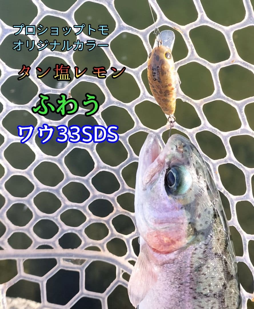 ワウ33SDS　オリカラ　 WAH33SDS ２個セット　ふわう
