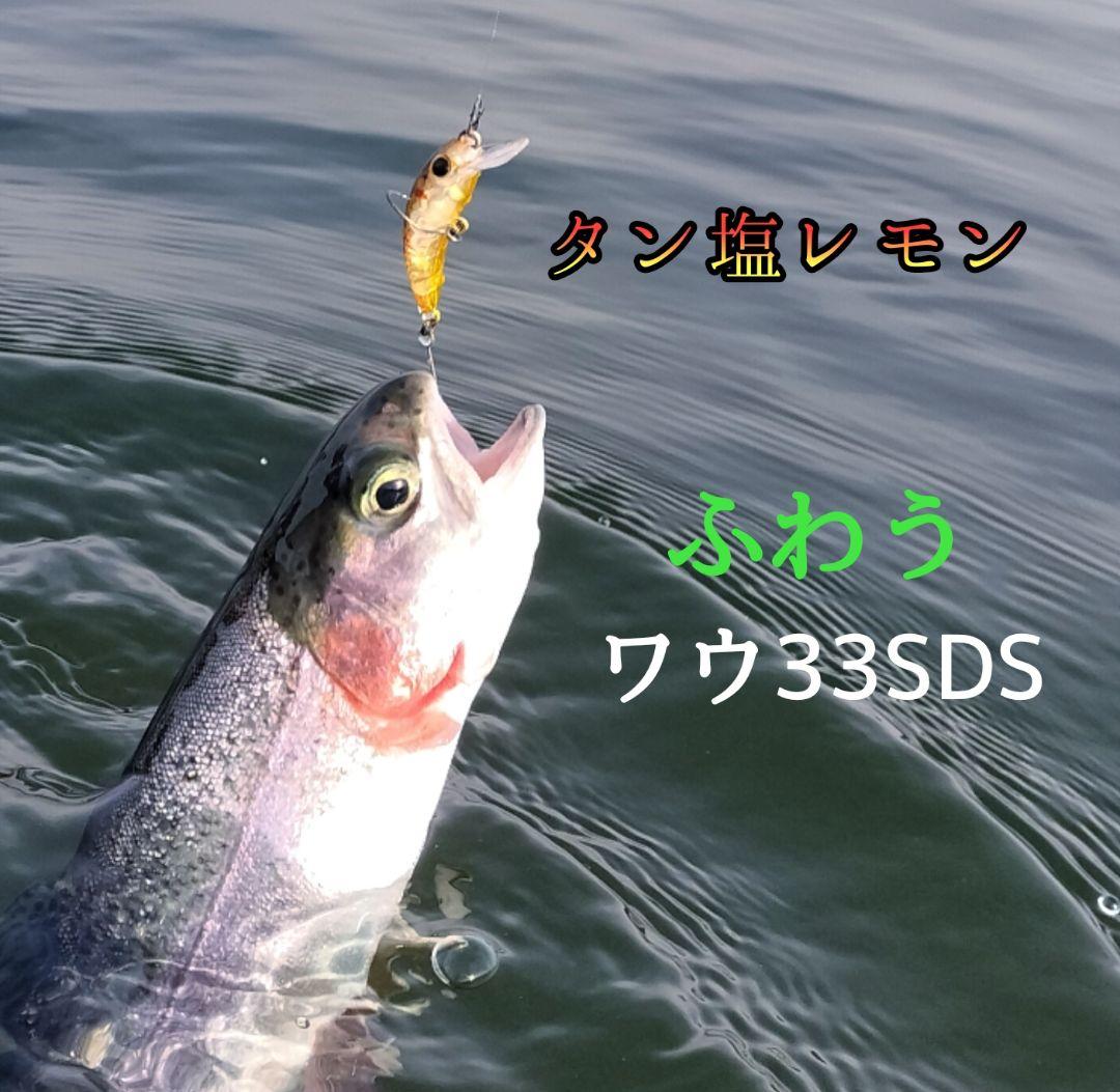 ワウ33SDS　オリカラ　 WAH33SDS ２個セット　ふわう