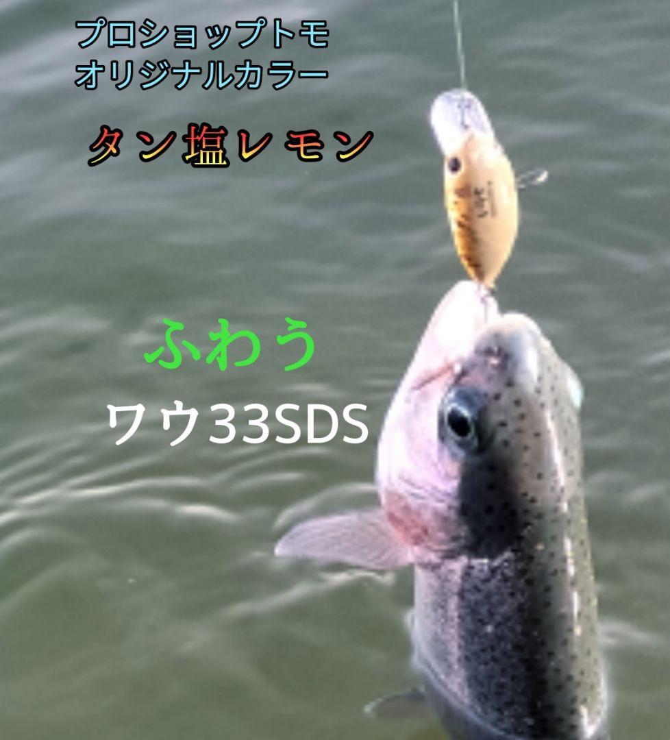 ワウ33SDS　オリカラ　 WAH33SDS ２個セット　ふわう
