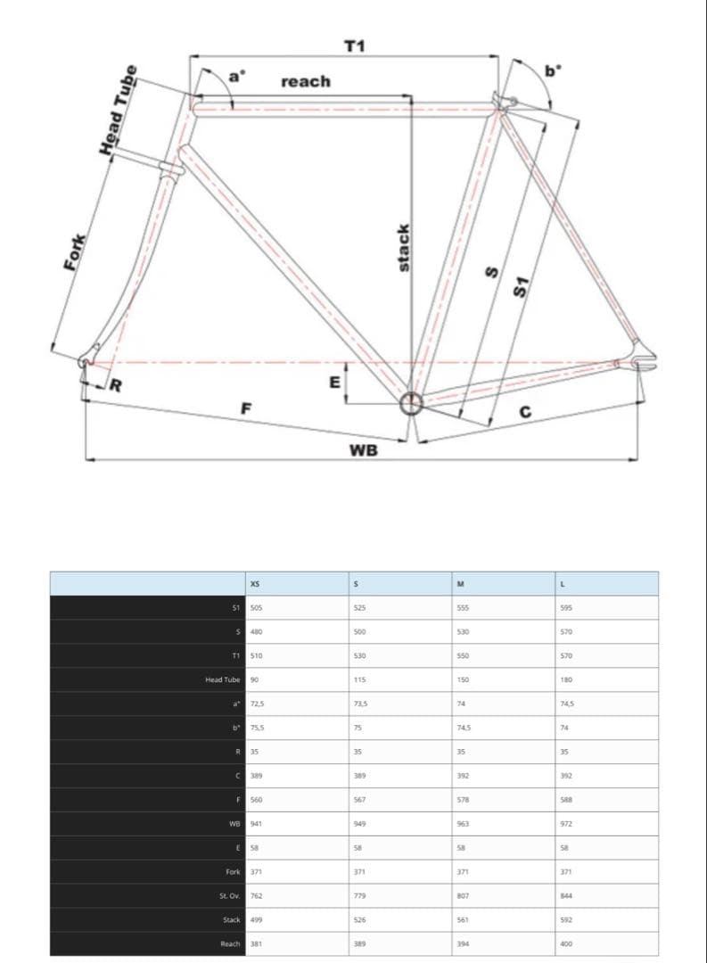 CINELLI GAZZETTA チネリ ピスト ブルーラグ サーリー