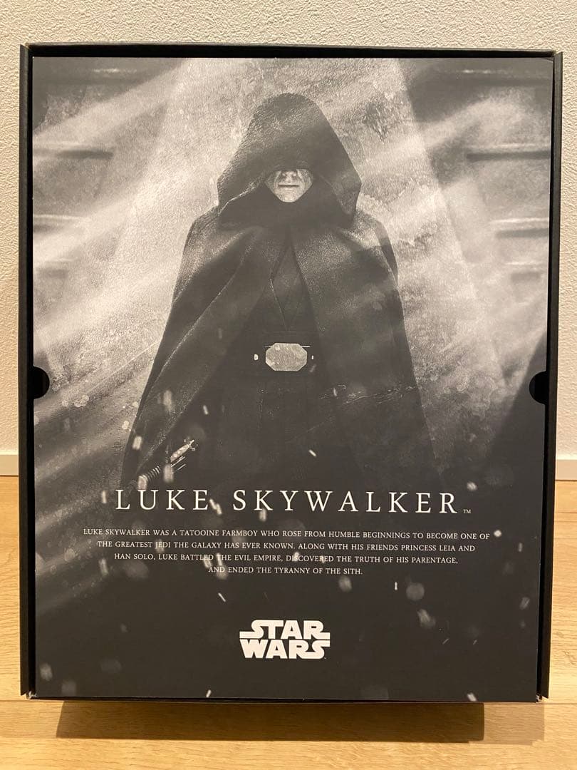 daiホットトイズ　スター・ウォーズ ルーク・スカイウォーカー フィギュア