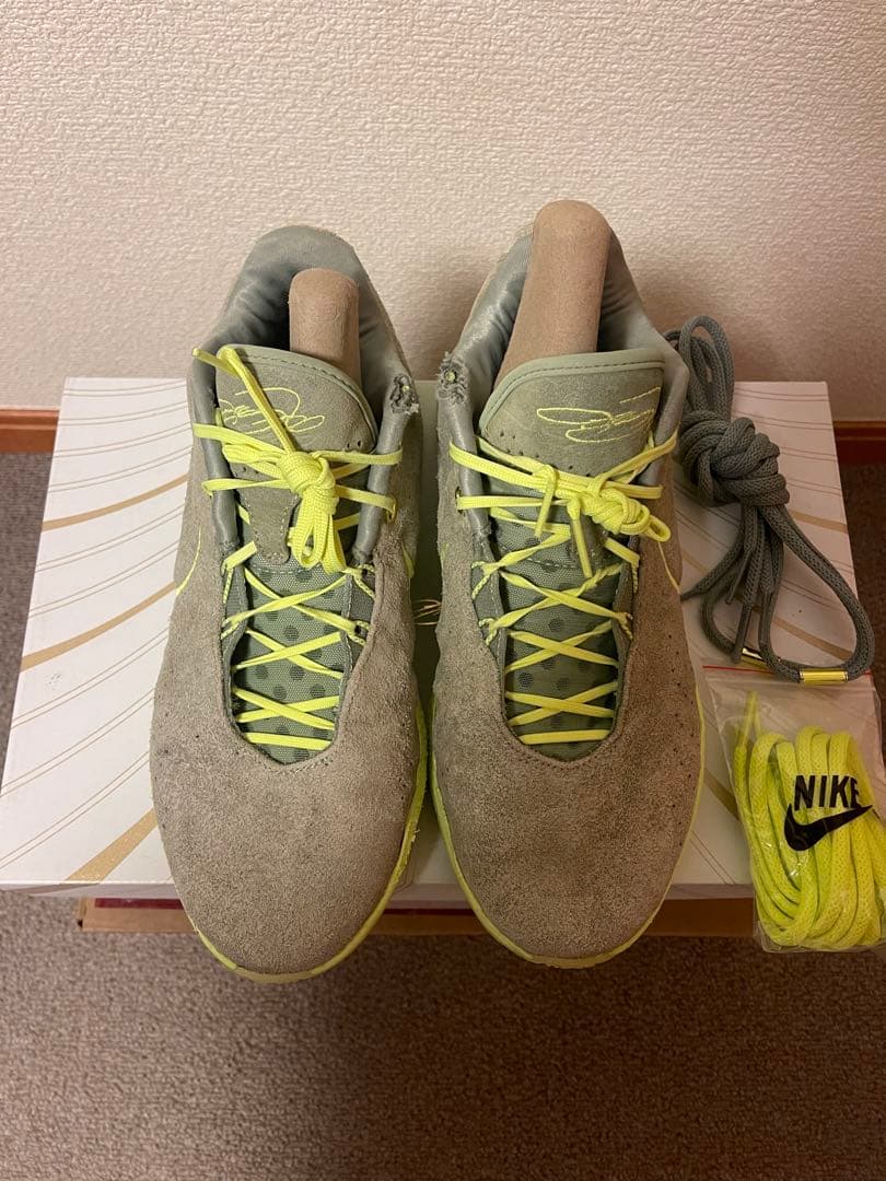 NIKE Lebron XXI レブロン 21 日本未発売 限定