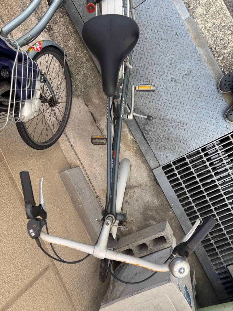 アイルトンセナ自転車