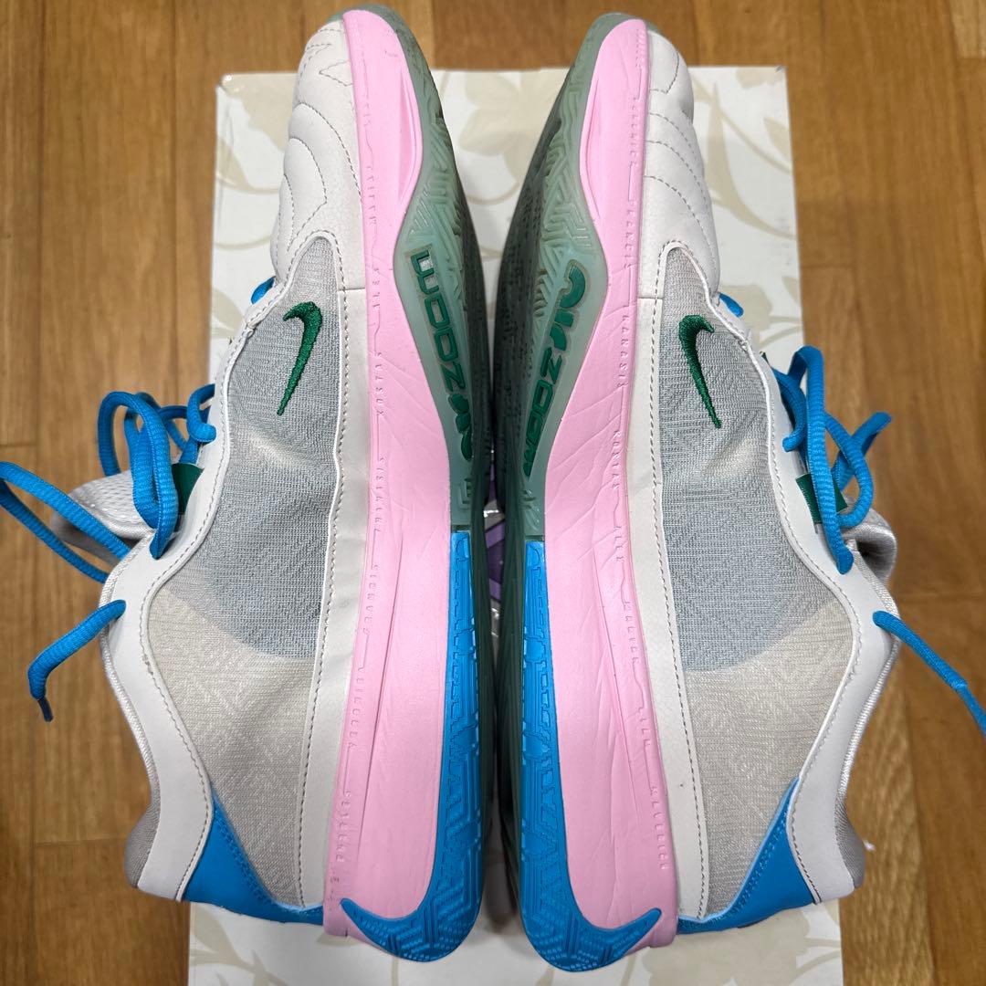 シューズ(男性用) Nike Zoom Freak 5 EP 29cm