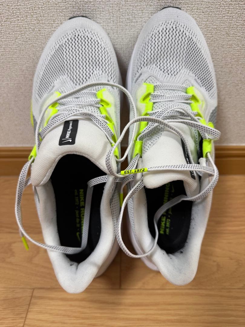 Nike ペガサス41 27cm