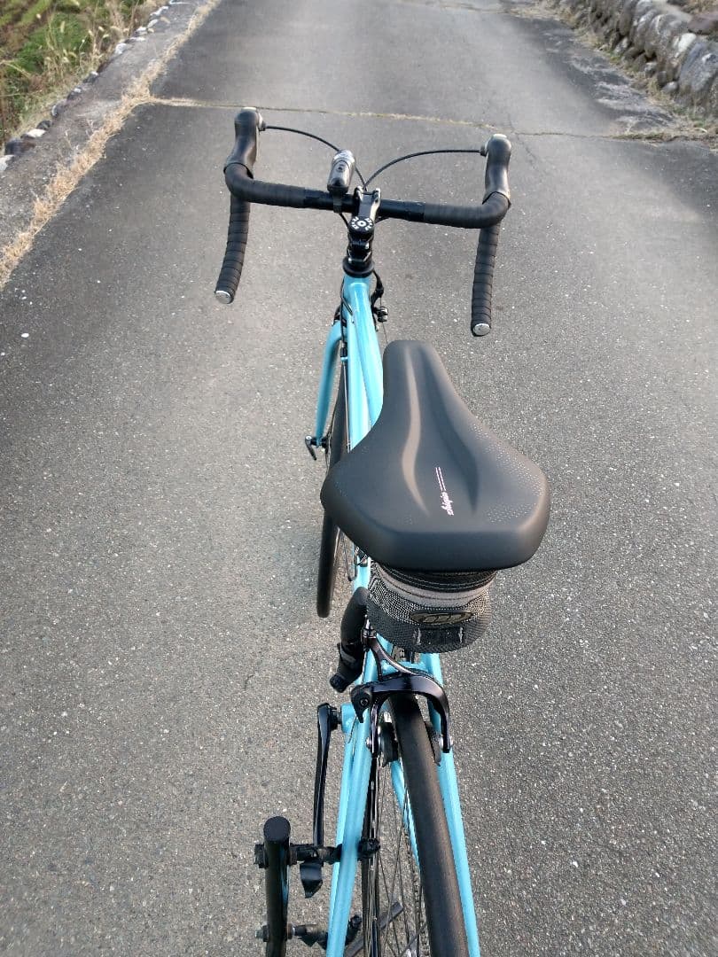 ロックバイクス　エンヴィ　ENVY ロードバイク