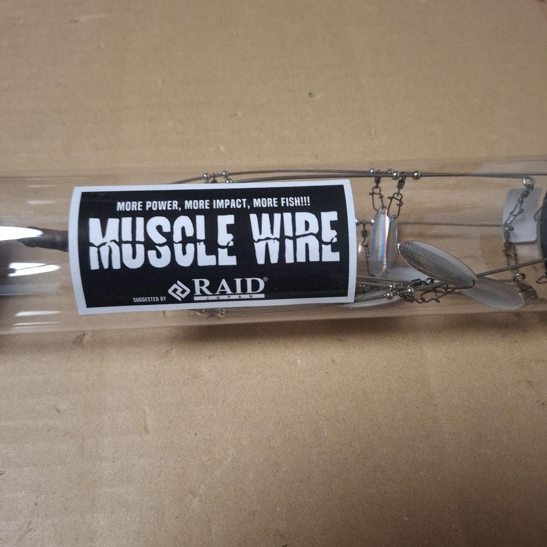 レイドジャパン　マッスルワイヤー　FULL FISH HOLO　新品