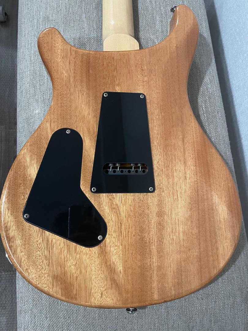 ギター PRS SE Custom24 Trampas Green