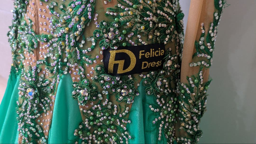 社交ダンス　スタンダードドレス　Felicia製　値下げしました