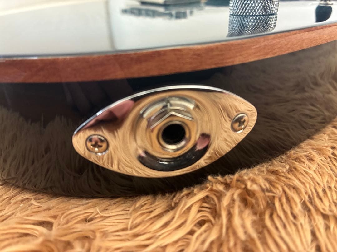 【ケース付属】Harley Benton Fusion III Roasted
