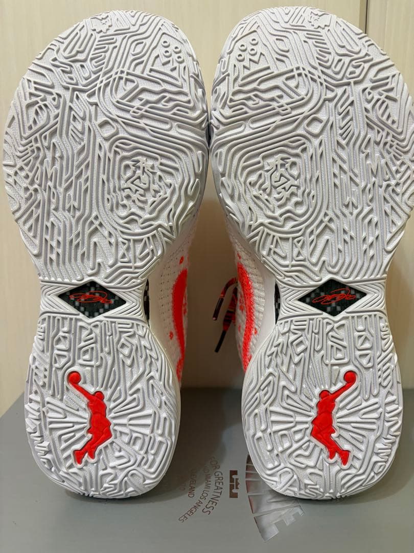シューズ(男性用) NIKE LEBRON 20 27.5cm
