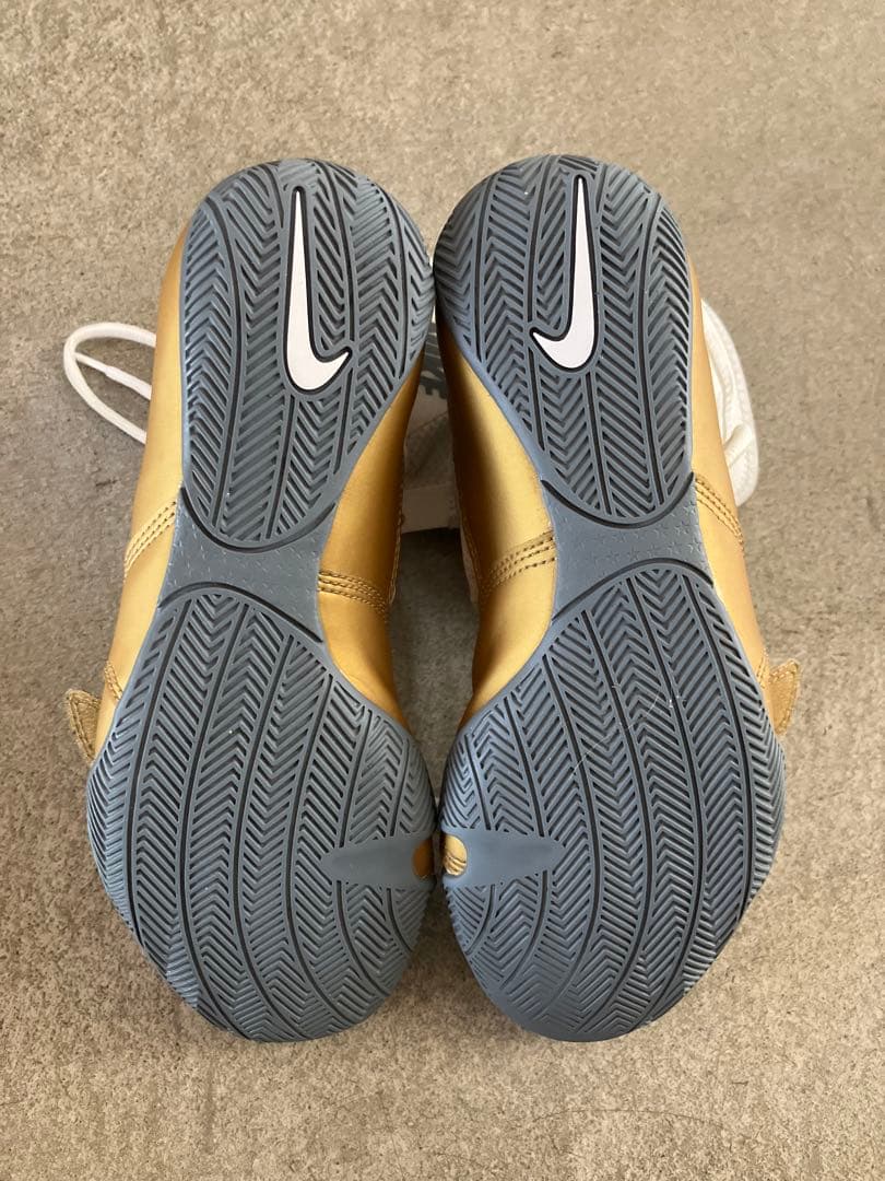 NIKE ハイパーKO ボクシングシューズ ホワイト/ゴールド 25㎝