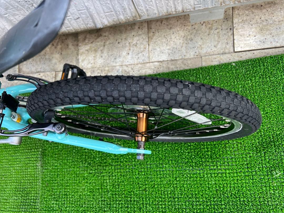 Bianchi ビアンキ EAGLE 20インチ 子供用自転車