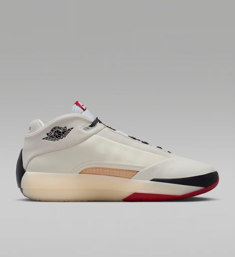 Nike Air Jordan 40 PF Cicago レアサイ30.5cm