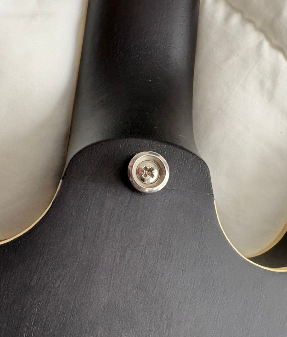 Epiphone Casino Worn ウォーン・カジノ ケース付き　21年製