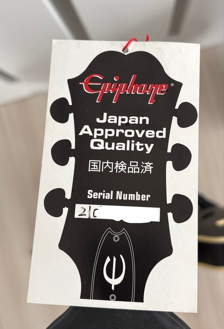Epiphone Casino Worn ウォーン・カジノ ケース付き　21年製