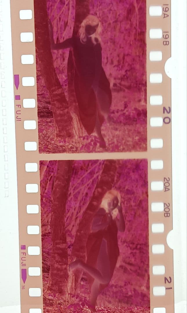 コレクター放出品　大量のネガフィルムとポジフィルム