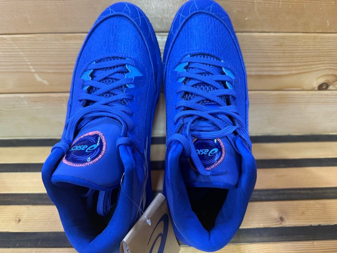asics UNPSE ARS 3 新品未使用　25.0cm