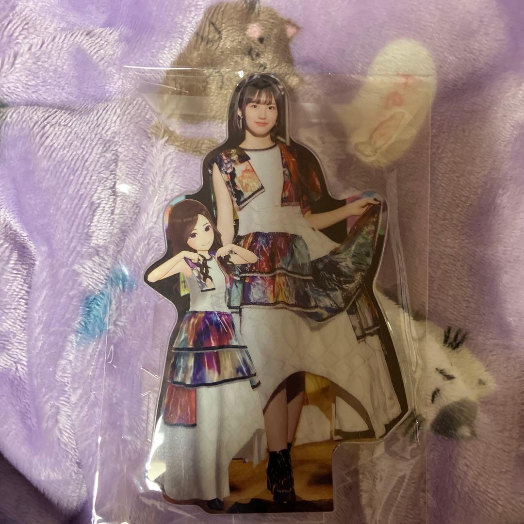 【値下げ】掛橋沙耶香　乃木フラセット