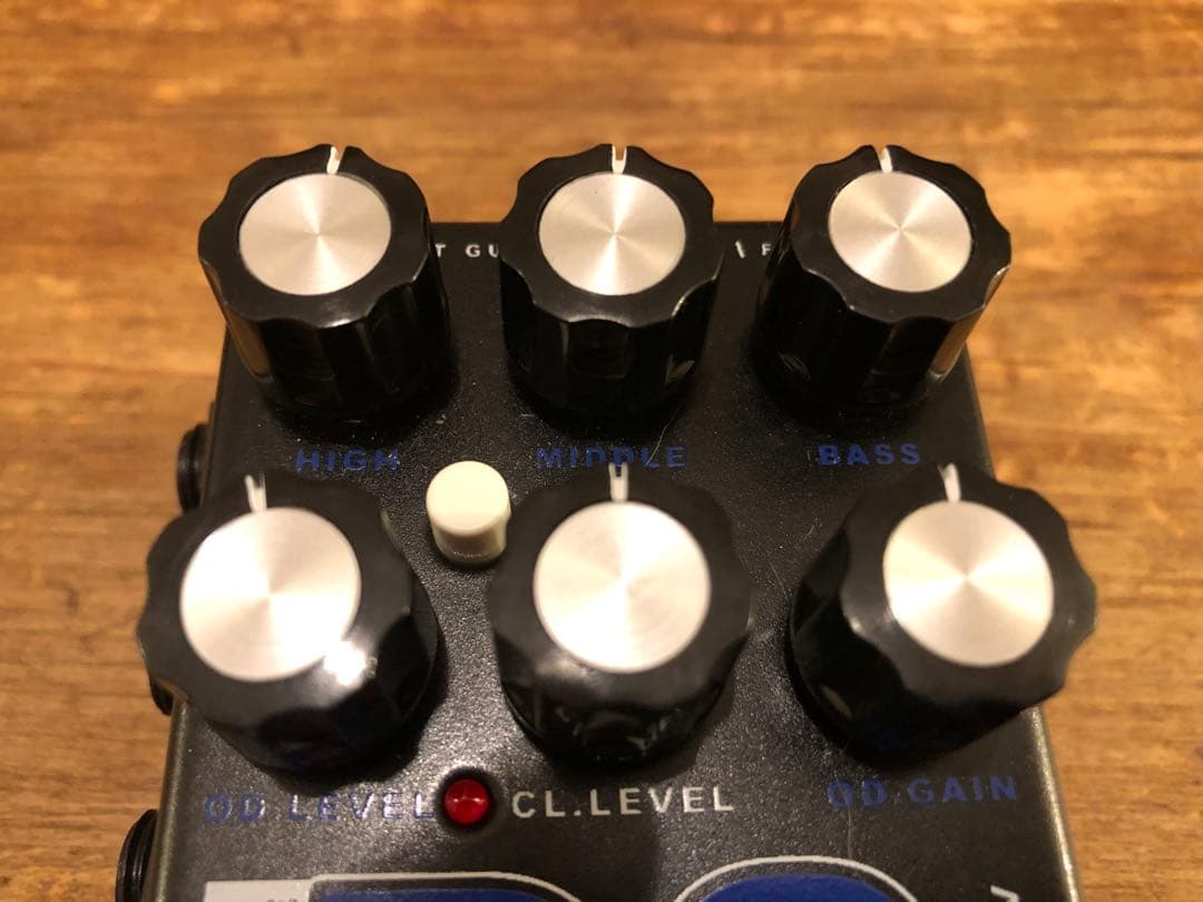 ギター AMT Electronics D2