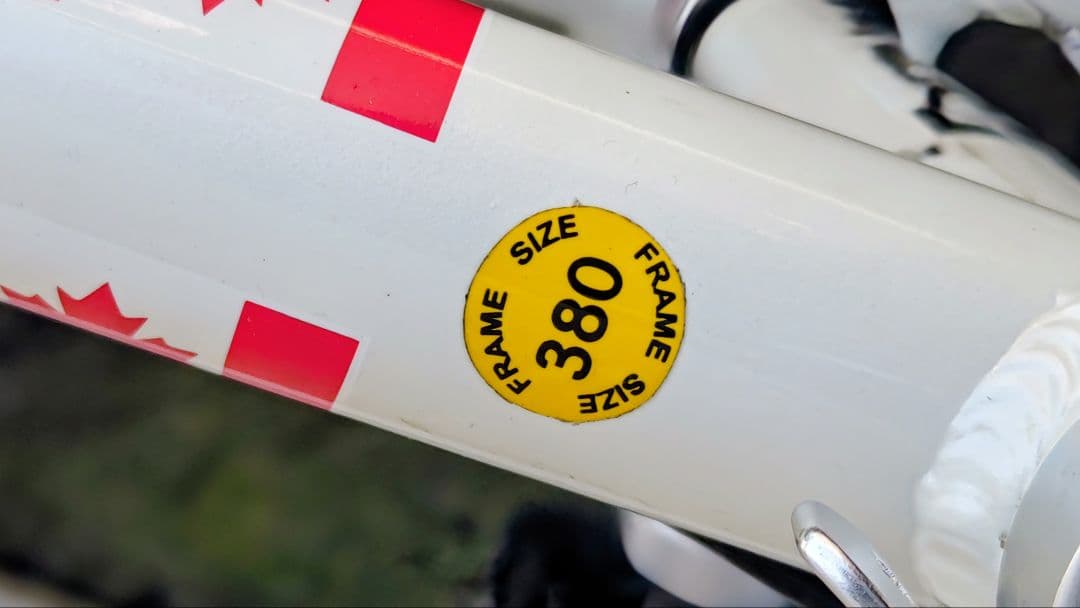 ルイガノREN24ジュニアロードレーサー380mm北海道 石狩管内引取限定です。