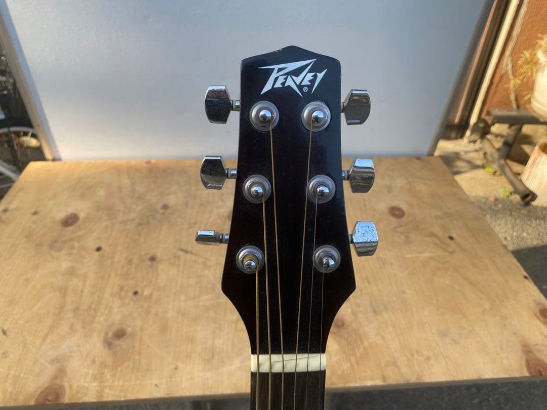 Peavey AGP6 アコースティックギター　ソフトケース付き　ビンテージ