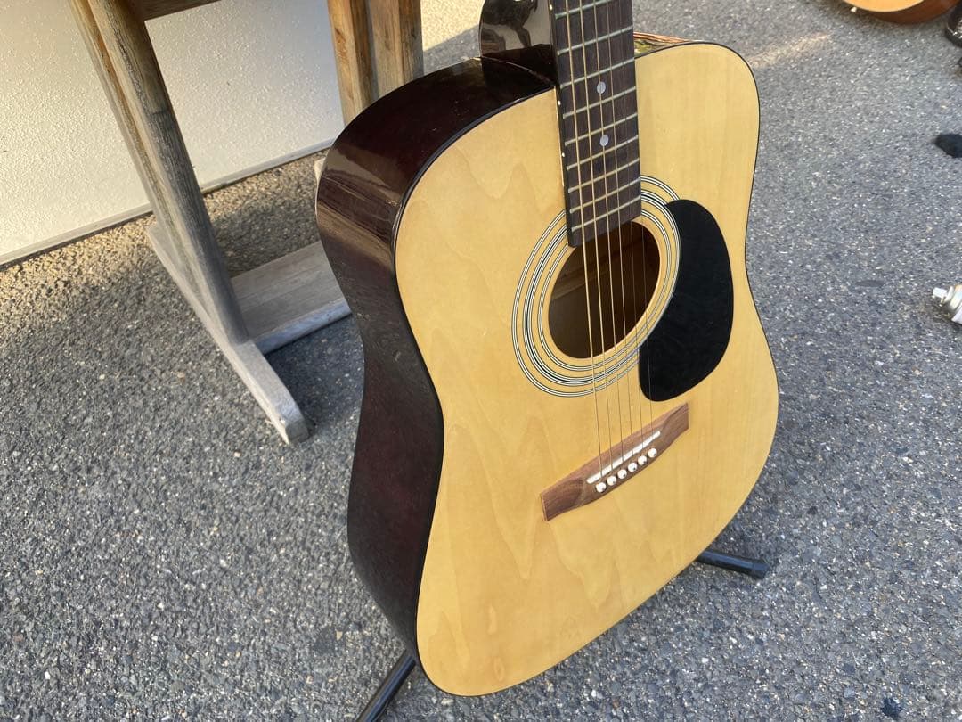 Peavey AGP6 アコースティックギター　ソフトケース付き　ビンテージ