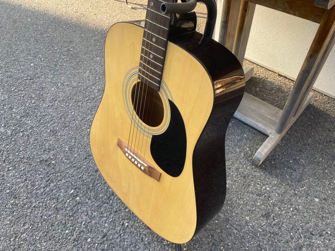 Peavey AGP6 アコースティックギター　ソフトケース付き　ビンテージ