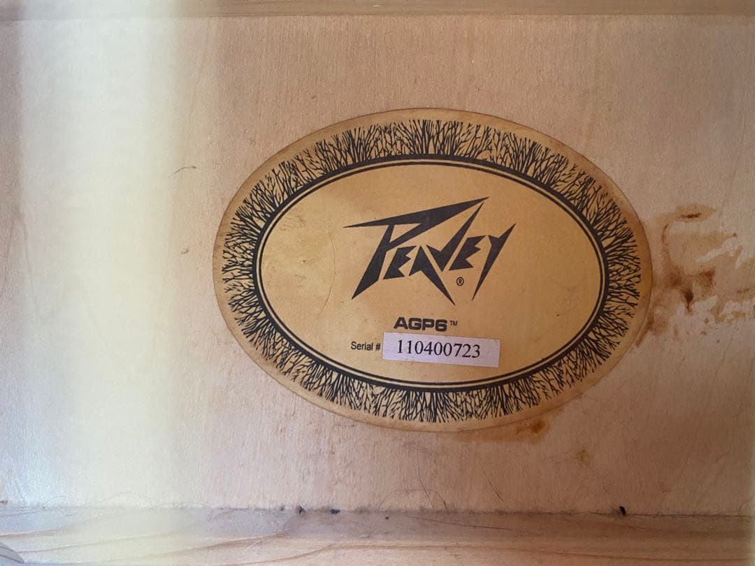 Peavey AGP6 アコースティックギター　ソフトケース付き　ビンテージ