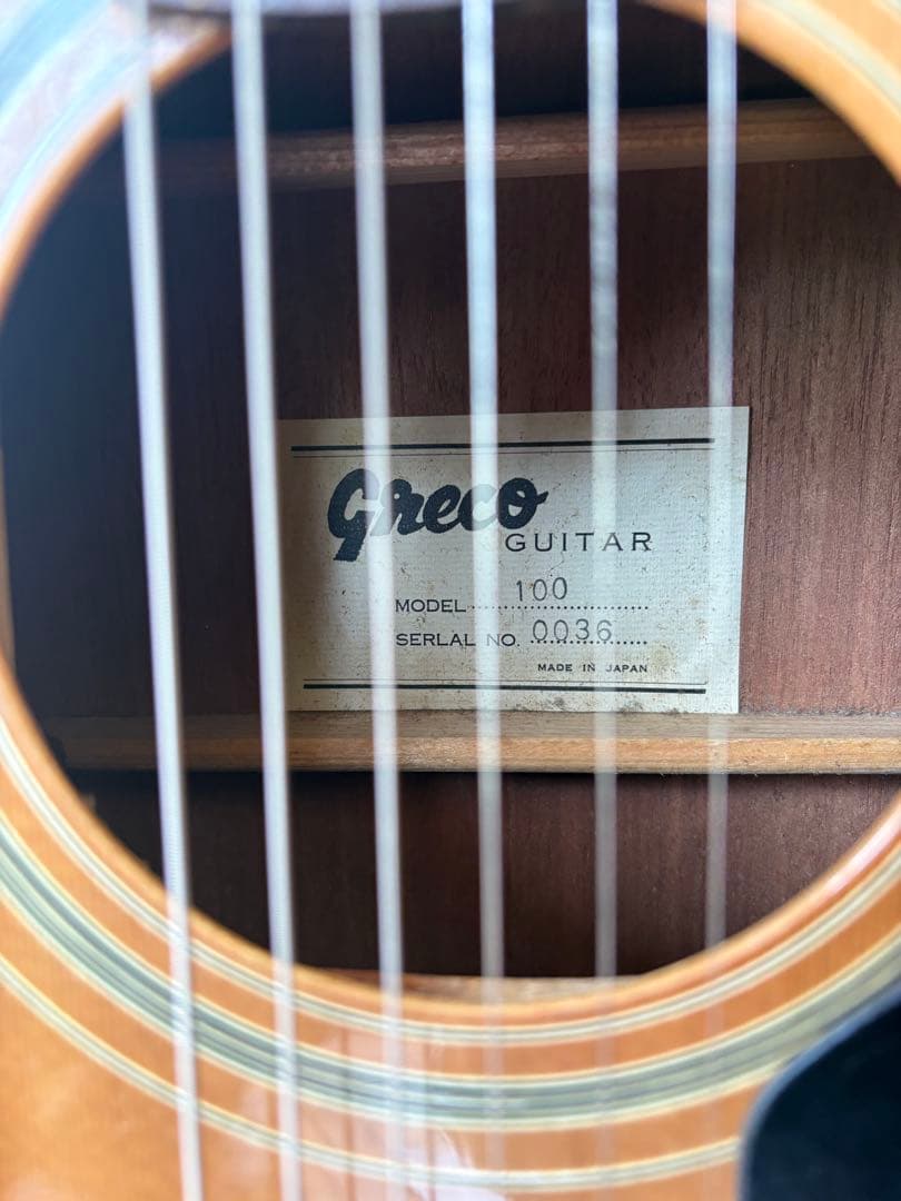 GRECO アコースティックギター 100
