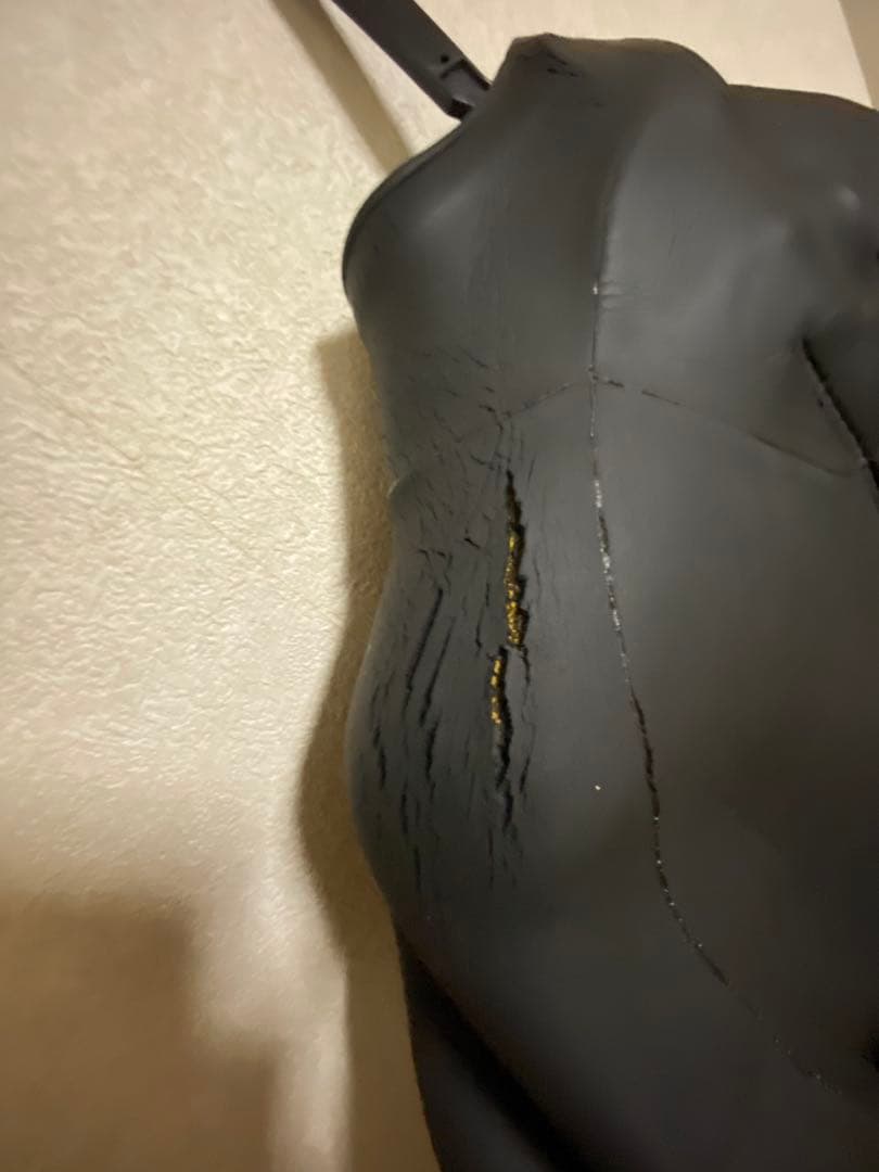 【最終値下】ホットライン　セミドライウエットスーツ　ＬＲ