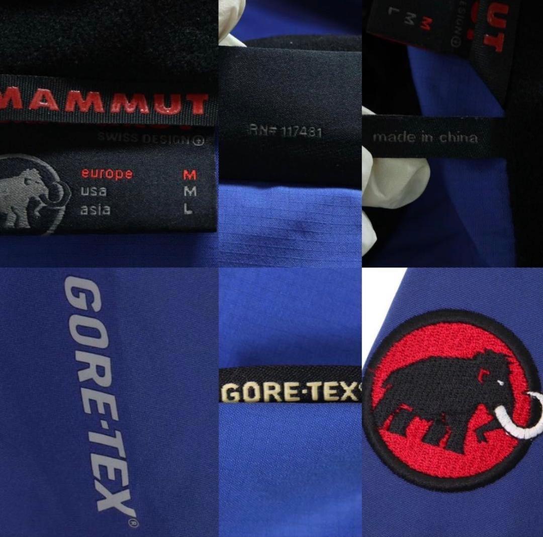 MAMMUT マムート　GORE-TEX Ice Field Jacket L