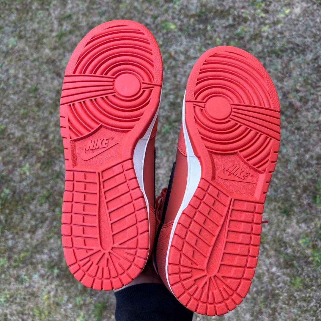 Nike ダンクHiレトロ