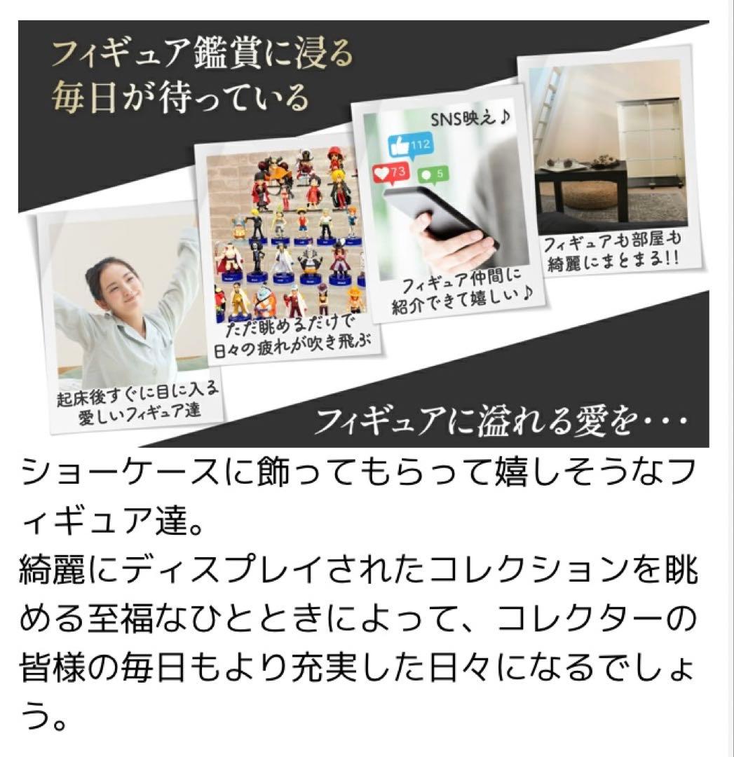 ショーケース ガラスケース 背面ミラー 2段両扉タイプ(鍵付き) 黒