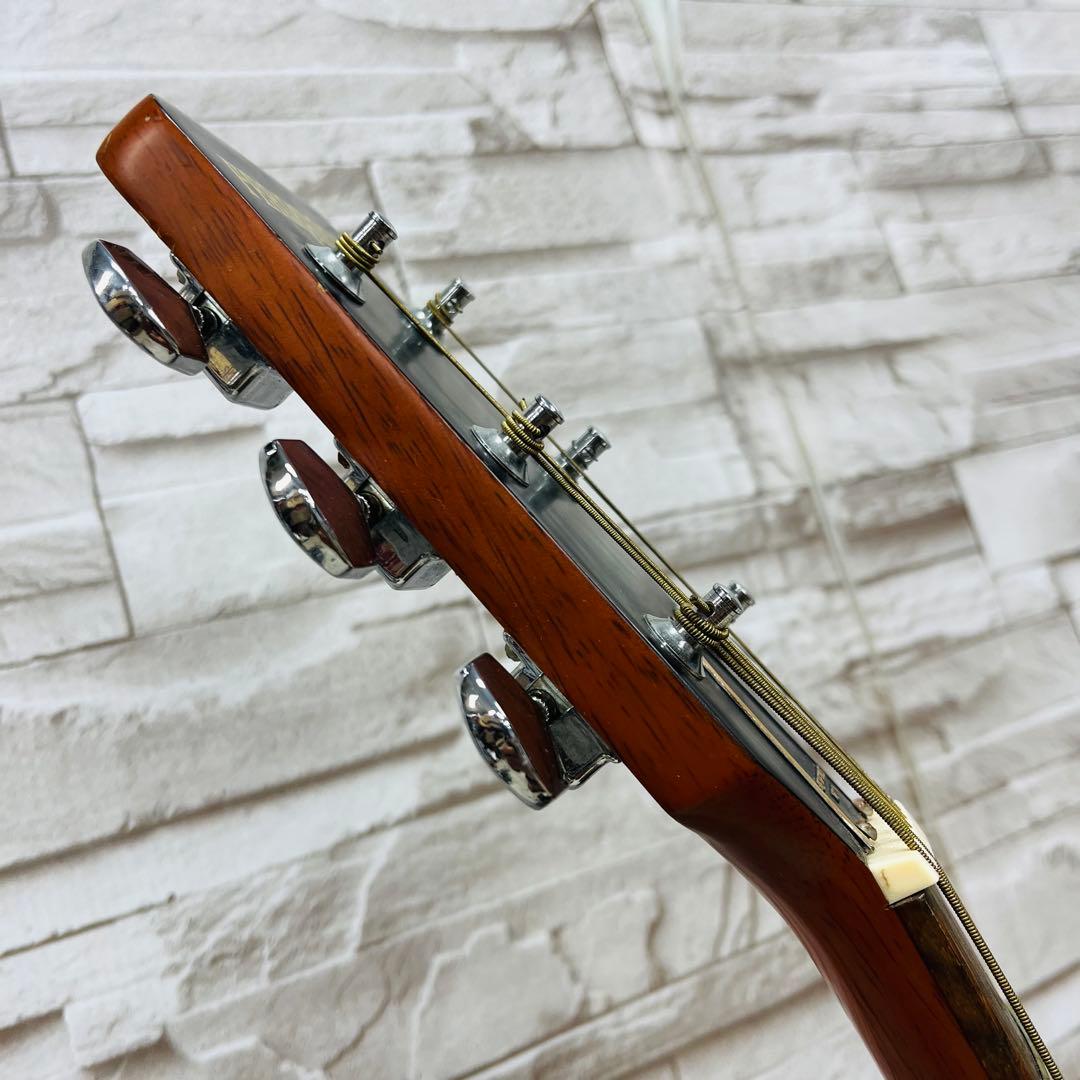 希少 FERNANDES SHINWA アコースティックギター F-160