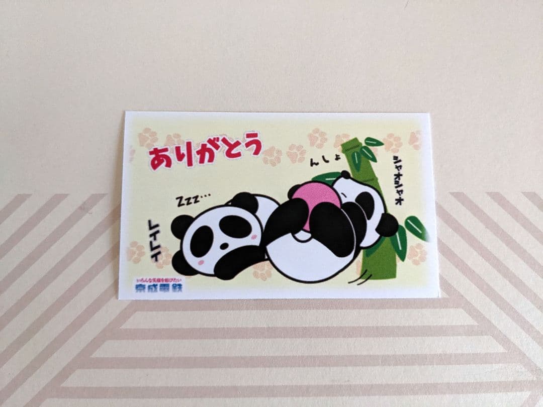 ハードロックカフェ　ピンバッジ　上野限定　パンダ　ピンク　ブルー