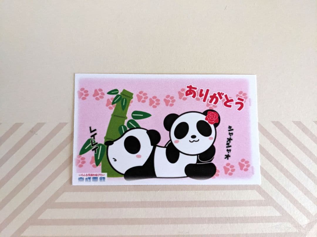 ハードロックカフェ　ピンバッジ　上野限定　パンダ　ピンク　ブルー