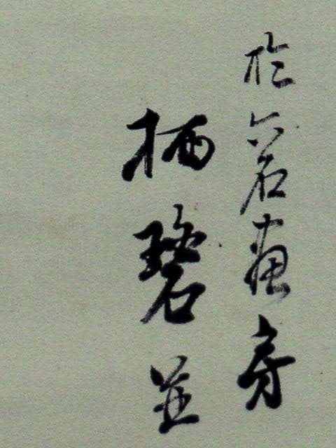 ♥掛軸【 白簾の滝　栖碧 】 掛け軸　共箱付き　骨董品