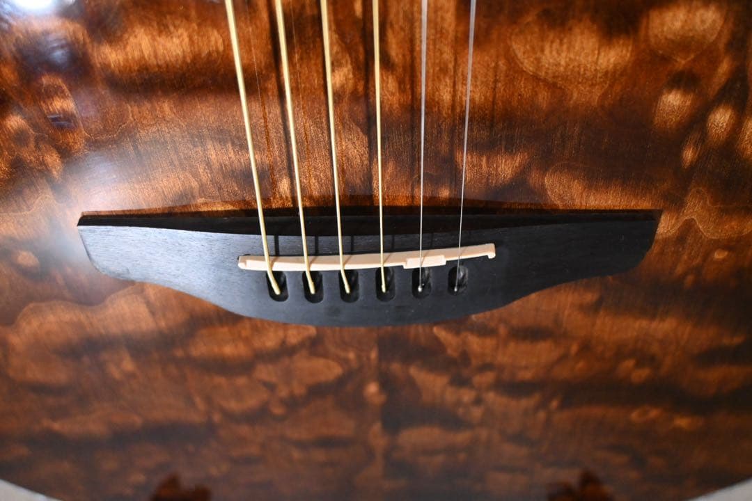 Ovation CE44P-TGE-G Celebrity ワケあり特価