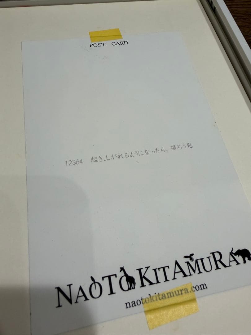 北村直登　BOXフレーム　うさぎ