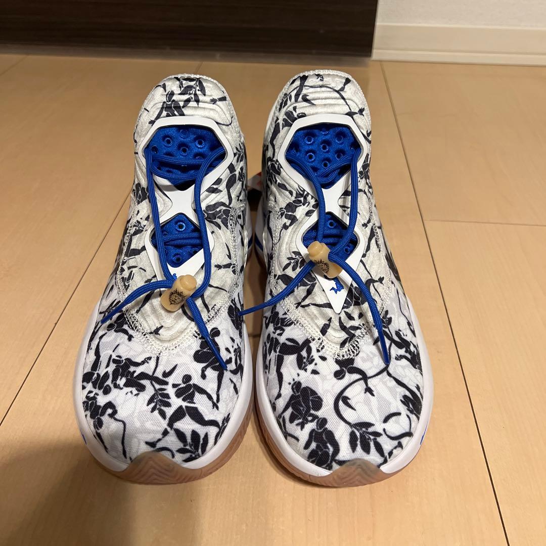 シューズ(男性用) LEBRON SOLDIER XIV EP