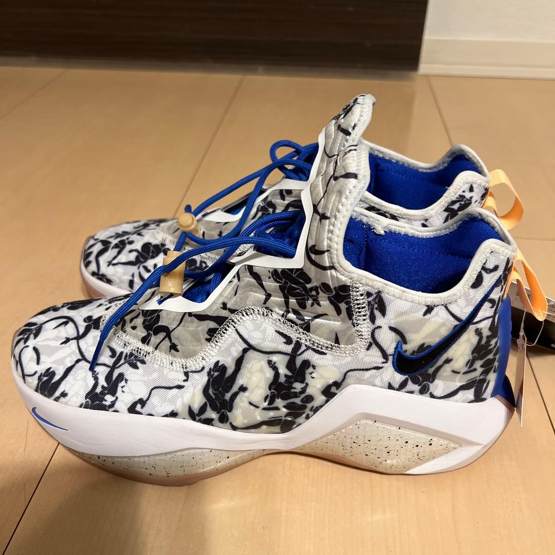 シューズ(男性用) LEBRON SOLDIER XIV EP